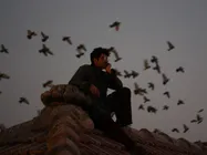 Hawaizaada Makers Recreate An Entire City