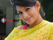 Is 'Namagaagi' Real Life Story Of Radhika Kumarswamy? 