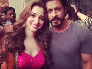 OMG! Shahrukh Khan To Star Opposite Tamannaah Bhatia In Next?