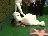 Wow! Snoopy Receives A Star On Hollywood Walk Of Fame