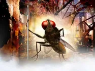 'Naan Ee' Part 2 Gets Bigger, Look Who Might Play The Lead In The Sequel!