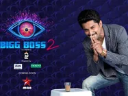 Bigg Boss Telugu Season 2: Fans Are Disgusted With Samart And Rolla Rida For Kissing A Married Woman