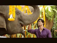 Vidyut Jammwal: Junglee Is A Must Watch For Families & Children!