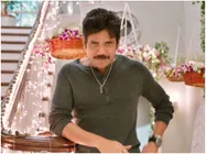 Nagarjuna Gives A Warning To  Naga Chaitanya And Akhil? Inside Deets Out!