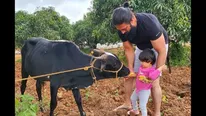 Yash’s Picture With Daughter Ayra Feeding A Cow Will Make You Go Aww