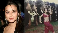 Preity Zinta Recalls Shooting For Dil Se Song Jiya Jale; Wonders What The Elephants Must Have Thought