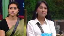 Bigg Boss 5 Telugu Voting Results: Priyanka And Anee In Danger Zone! 