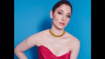 Tamannaah Bhatia On Success Of Pan-India Films: People Want To See Movies That Are Close To Their Roots