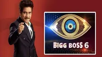 Bigg Boss Telugu Season 6 Voting Results: Baladitya, Marina, And Raj Score Least Number Of Votes!
