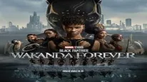 Black Panther: Wakanda Forever Movie Review: Heartening And Cathartic, With Powerful Performances