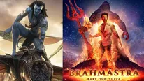 Hollywood v/s Bollywood: Avatar 2 Beats Brahmastra, Drishyam 2 Beats Spider-Man: No Way Home Lifetime Earning