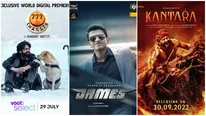777 Charlie - Kantara: How 2022 Proved To Be A Gamechanger For Kannada Movies