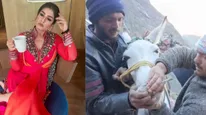SHOCKING: Men Force Horse To Smoke On Kedarnath Trek In A Viral Video; Raveena Tandon, Karishma Tanna React
