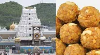 Tirupati Laddu Controversy Update: Former Priest Reveals 'I Noticed Many Years Ago'; Know WHEN Exactly