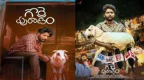 Gorre Puranam OTT: Suhas' Latest Comedy-Drama Is Now Streaming In Telugu On Aha OTT Platform; Details Inside