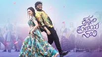 Krishnam Pranaya Sakhi OTT Release: When And Where To Watch Ganesh's Romantic Comedy Movie Online