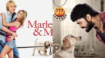 The Ultimate National Pet Day Binge List- 777 Charlie, Tommy, Marley & Me