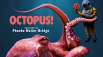 Prime Video Debuts Official Trailer For Octopus; Here's All You Need To Know