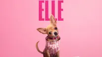 Elle Release Date Announced: Legally Blonde Prequel Set To Premiere On Prime Video In India