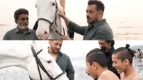 Battle Of Galwan: Did You Know? The Horse Featured In The Song Main Hoon Is Salman Khan’s Own Horse
