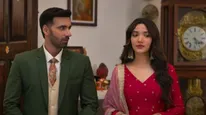 Ginny Wedss Sunny 2 Box Office Collection: Hit or Flop, Budget, Records; All About Avinash-Medha's Film
