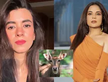 नीलगाय के साथ हुआ कुछ ऐसा, आगबबूला हो उठीं ऋचा चड्ढा और सबा आजाद, क्या है मामला?