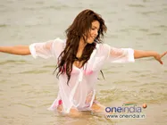 Photo Feature- बॉलीवुड ब्‍यूटी इन वॉटर 