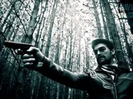 नील नितिन, विक्रम या विनय कौन सबसे हॉट डेविड?