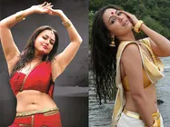 सना के खिलाफ गलत छाप रहे हैं लोग: सलमान खान