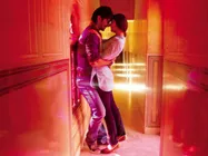 शुद्ध देसी रोमांस के सितारों के लिए क्या है शुद्ध देसी रोमांस