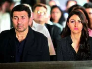 BOX OFFICE: ओवरसीज में 'घायल वन्स अगेन' का धमाल.. जानें कुल कलेक्शन!