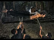 विद्युत जामवाल दुनिया के टॉप मार्शल आर्टिस्ट में शामिल हुए, अमेरिका ने जारी की लिस्ट