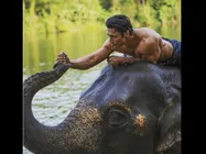 जंगली REVIEW: विद्युत जामवाल का शानदार एक्शन, लेकिन उबाऊ कहानी निराश करती है