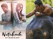 BOX OFFICE: जंगली और नोटबुक की ठंडी शुरुआत - जानें पहले दिन का कलेक्शन