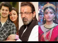 BOX OFFICE: 'पल पल दिल के पास' और 'प्रस्थानम' से भी पीछे रह गई 'द जोया फैक्टर'- वीकेंड रिपोर्ट