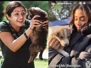 Pic of The Day: जान्हवी कपूर ने रिक्रिएट किया श्रीदेवी की सदमा का हरिप्रसाद सीन, फैन्स हुए इमोशनल