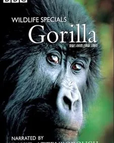 A Gorilla Story: Told by David Attenborough
