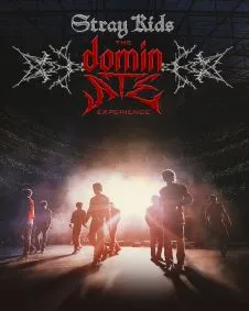Stray Kids: The dominATE Experience