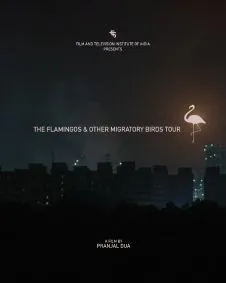 The Flamingos and Other Mirgratory Bird Tour
