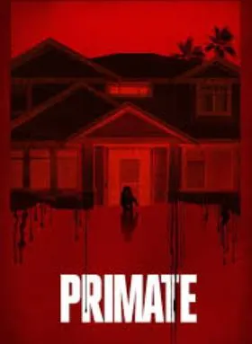 Primate