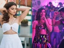 ಹಸೆಮಣೆ ಏರಲು ಸಜ್ಜಾದ 'ಶೇಕ್ ಇಟ್ ಪುಷ್ಪವತಿ'ಯ ನಿಮಿಕಾ ರತ್ನಾಕರ್; ವರ ಯಾರು?