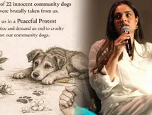 ರಕ್ತ ಕುದಿಯುತ್ತಿದೆ ; ಬೀದಿ ನಾಯಿಗಳ ಮೇಲಿನ ಕ್ರೌರ್ಯ ಕಂಡು ಕಣ್ಣೀರಾದ ರಮ್ಯಾ 