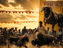 ಸೋಲಿಲ್ಲದ ಸರದಾರ.. ಟಗರು ಪ್ರಿಯರ ಫೇವರಿಟ್.. ಡಾಕ್ಯೂಮೆಂಟರಿಯಲ್ಲಿ 'ಬೊಳ್ಳೂಡಿ ಕಾಳಿ' ಯಶೋಗಾಥೆ
