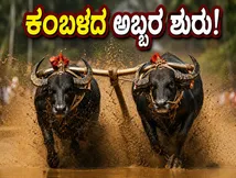 ಕಂಬಳದ ಅಬ್ಬರಕ್ಕೆ ಸಜ್ಜಾದ 'ಕರಾವಳಿ': ಜುಲೈ 24ಕ್ಕೆ ಬೆಳ್ಳಿತೆರೆಯಲ್ಲಿ ಅಸಲಿ ಕಿಚ್ಚು!