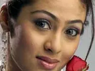 ಕನ್ನಡ ಚಿತ್ರರಂಗಕ್ಕೆ ಟೂ ಬಿಟ್ಟಿದ್ದ ಸದಾ ಆಗಮನ