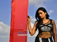 ಸಿಂಪಲ್ ಹುಡುಗಿಗೆ ಇಷ್ಟವಾದ 'ವೇಶ್ಯೆ' ಪಾತ್ರ