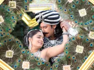 ದರ್ಶನ್ ಜೊತೆ ನಿಖಿತಾ ಸಿನಿಮಾ ಮಾಡಲ್ವಂತೆ!