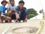 ಹಾವಿನ ಜೊತೆ ಸರಸವಾಡಿದ ಸ್ಯಾಂಡಲ್ವುಡ್ ನಾಯಕ ಯಾರು?