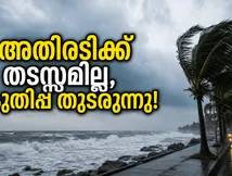 പുതിയ റിലീസുകൾ വന്നിട്ടും അതിരടിക്ക് കുലുക്കമില്ല! പതിനാലാം ദിവസവും ബോക്സോഫീസിൽ തകർപ്പൻ പ്രകടനം!