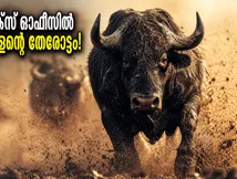 ബോക്സ് ഓഫീസിൽ കാട്ടാളന്റെ തകർപ്പൻ തുടക്കം! ആന്റണി വർഗീസിന്റെ മാസ് എൻട്രിയിൽ ഞെട്ടി പ്രേക്ഷകർ!